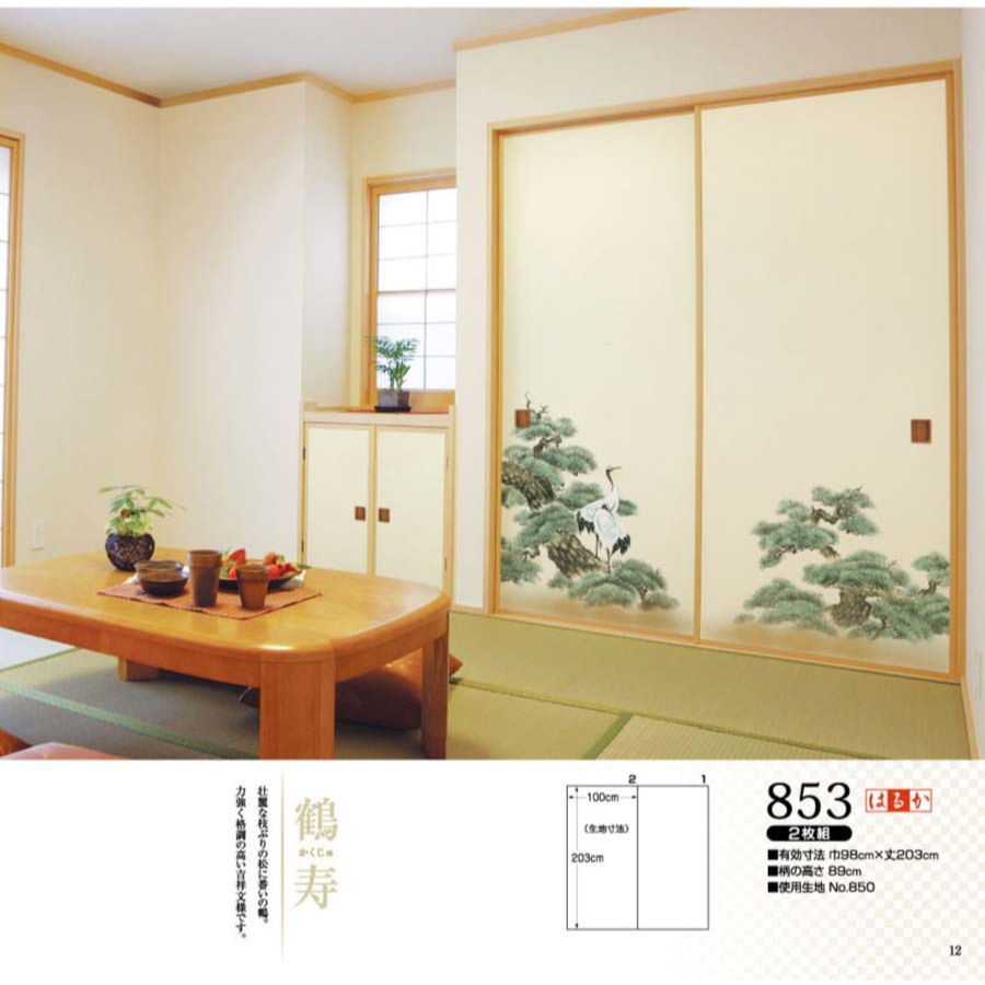 はるかNo.853