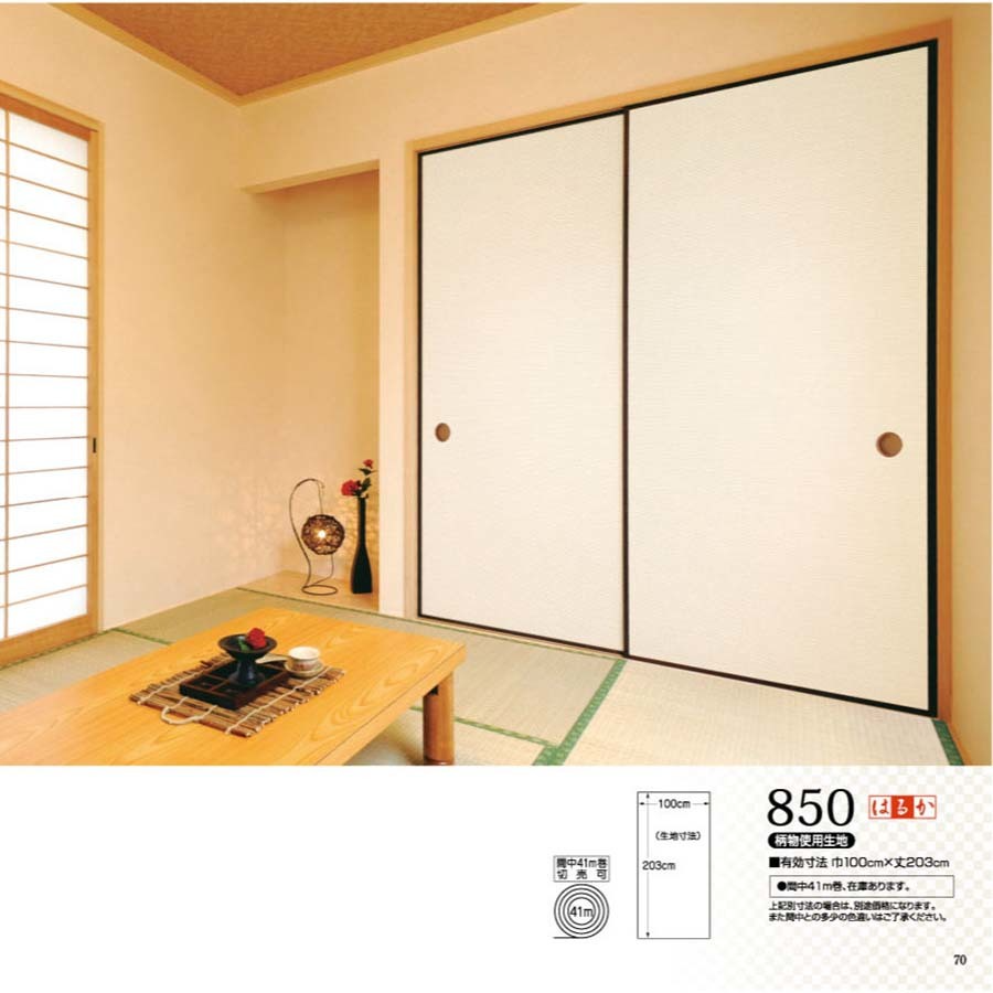 はるかNo.850