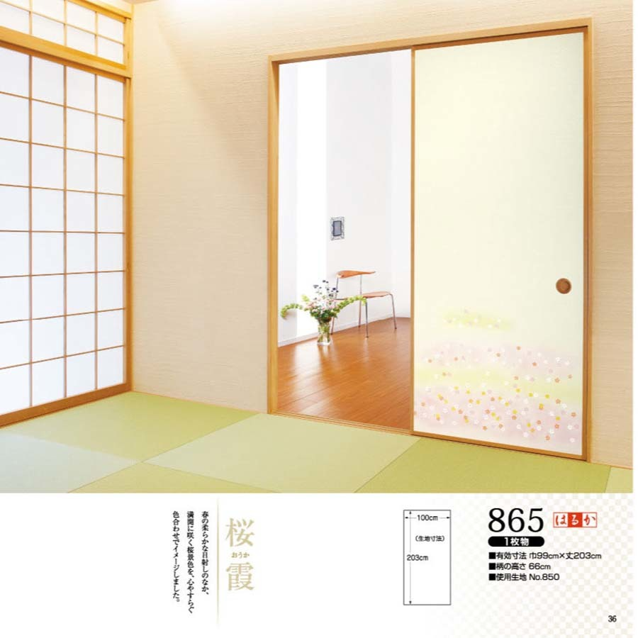 はるかNo.865