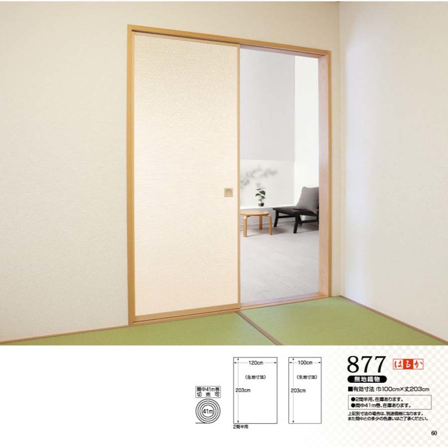 はるかNo.877