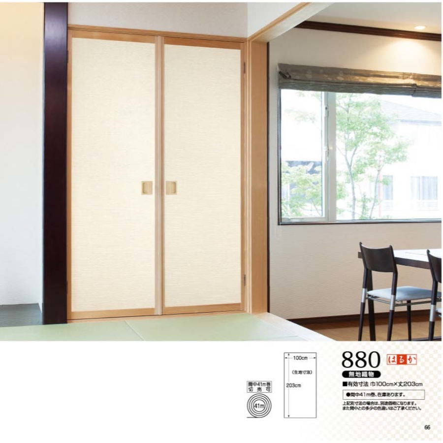 はるかNo.880
