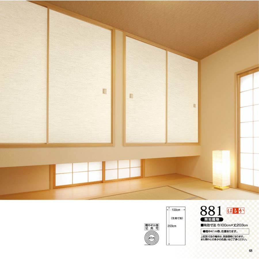 はるかNo.881