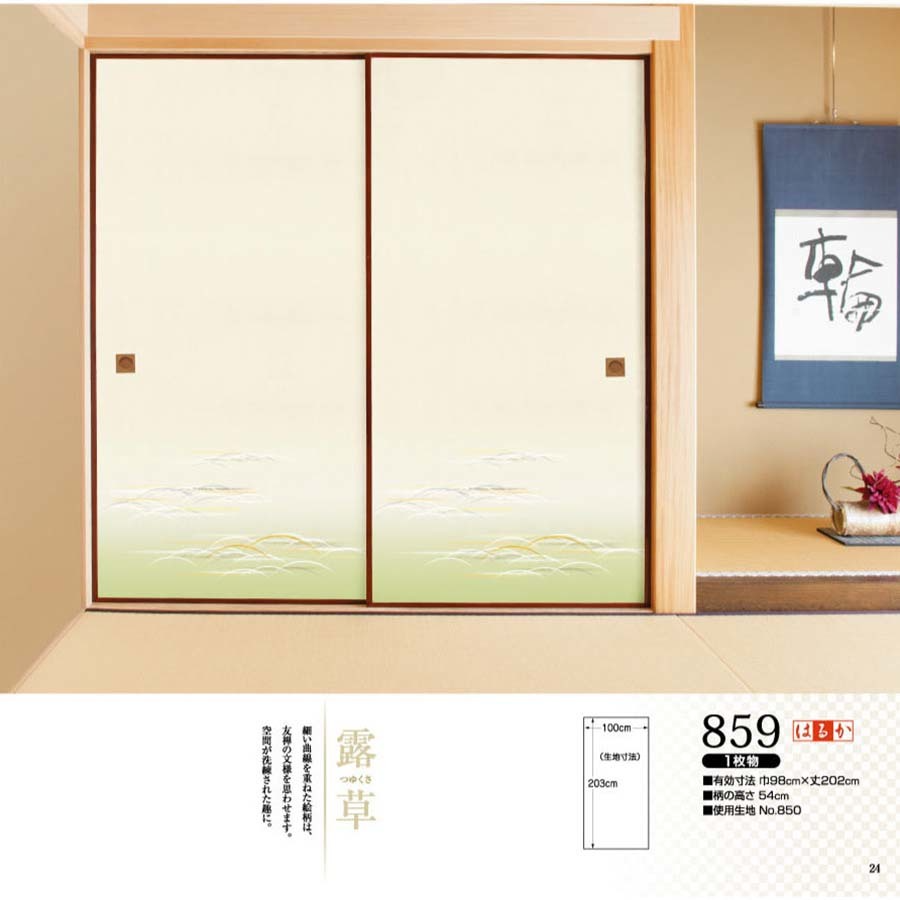 はるかNo.859