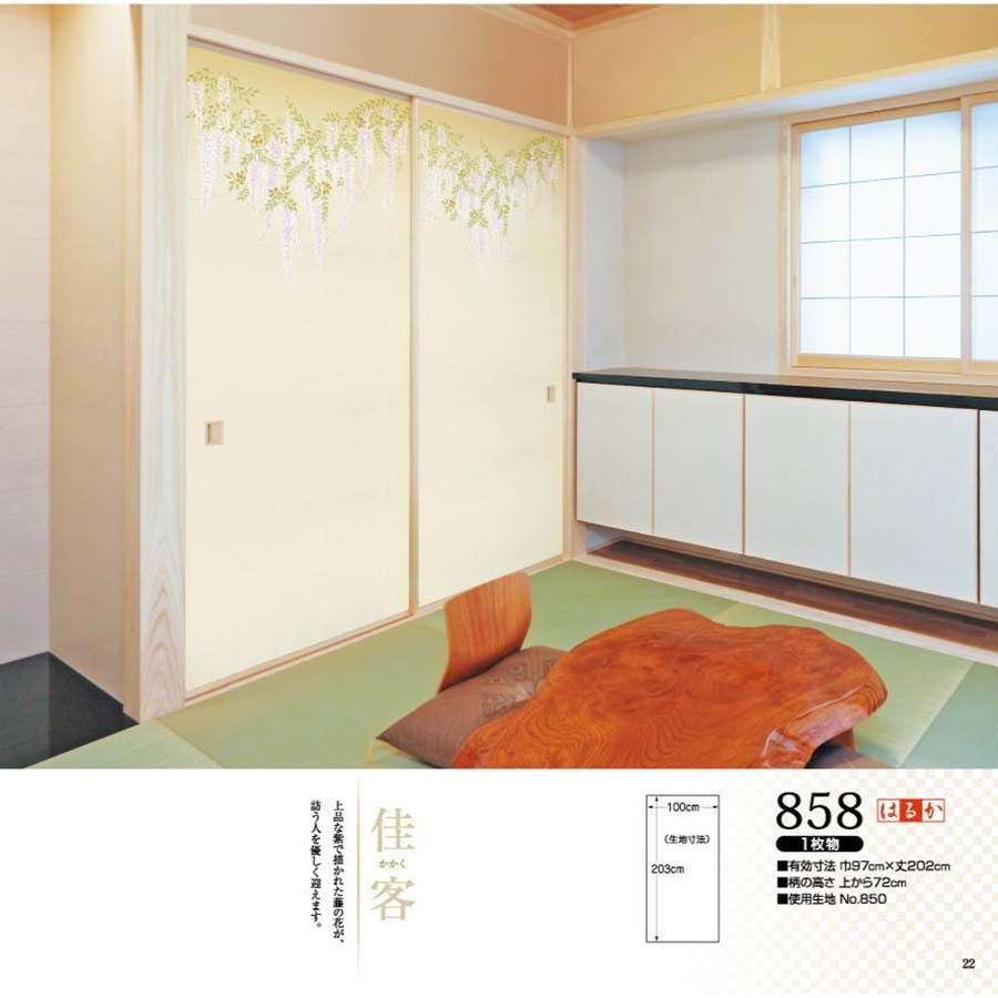 はるかNo.858