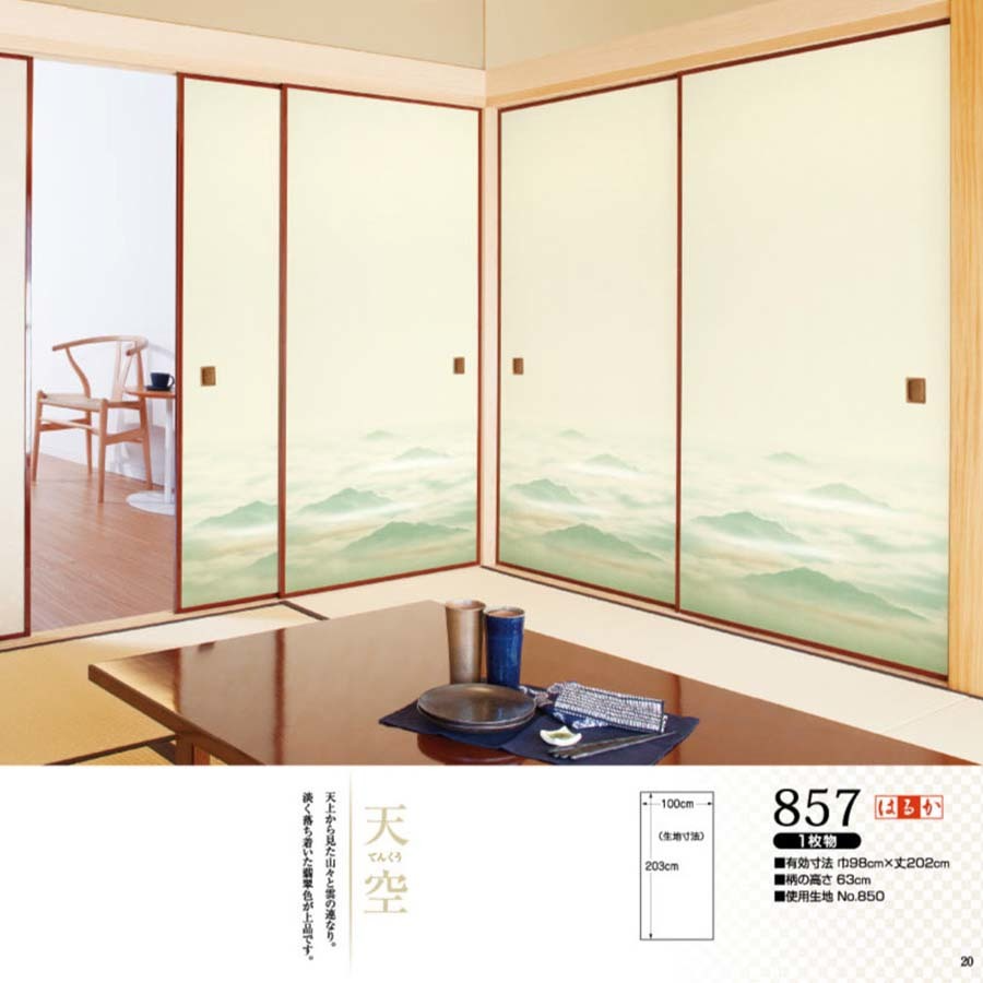 はるかNo.857